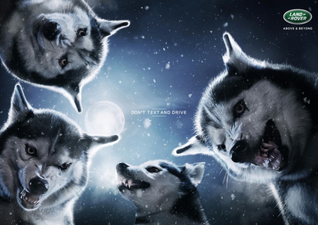 Illustration de l'article : Ces 18 campagnes de pub choquantes ont pour but de mieux sensibiliser