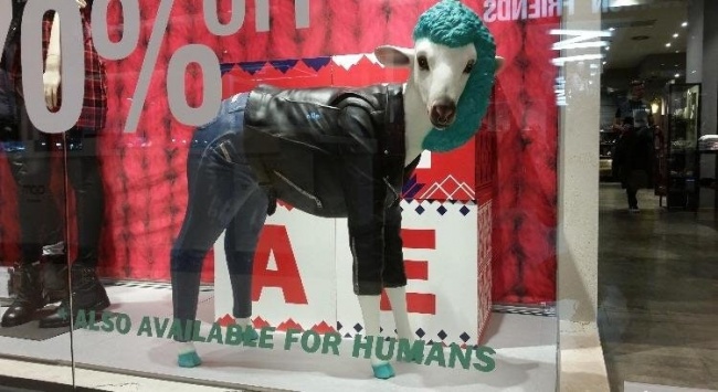 Illustration de l'article : 25 internautes partagent avec vous leurs instants de vie les plus marquants