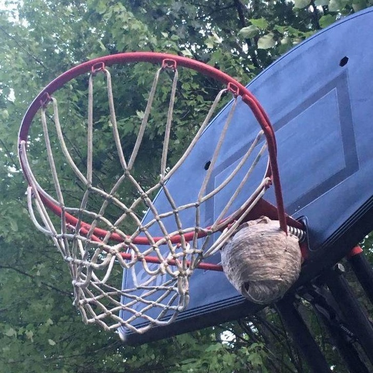 Illustration de l'article : Ces 18 photos de personnes qui n'ont jamais de chance