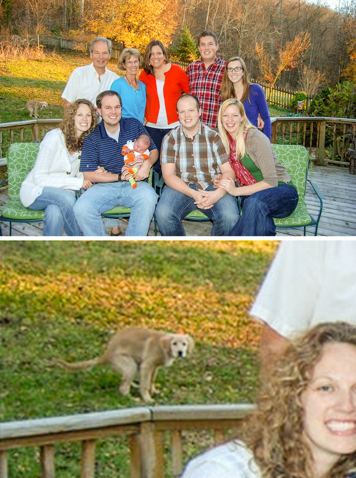 Illustration de l'article : Ces 21 photos où l'arrière-plan a pris le dessus sur le devant