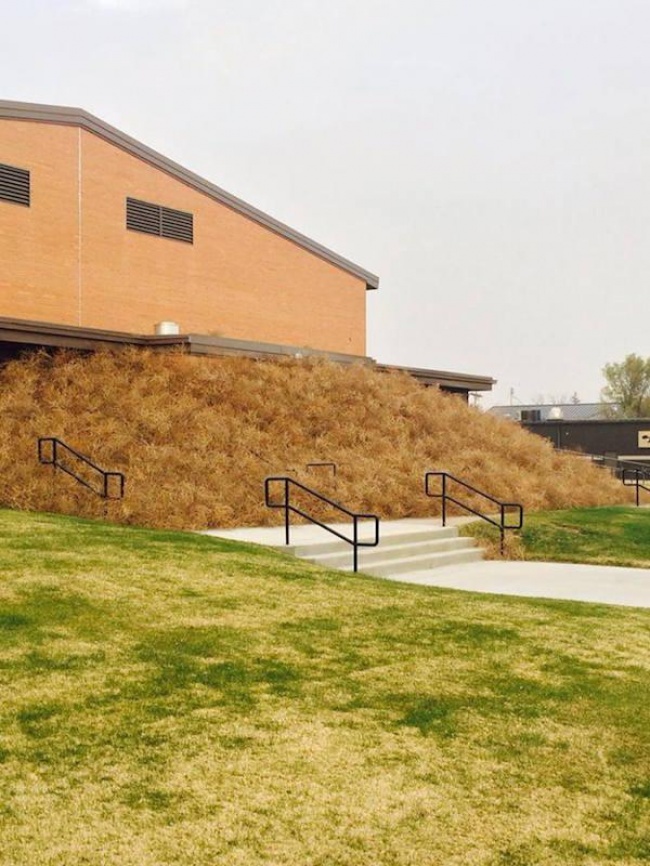 Illustration de l'article : 15 fois où le vent a joué des tours aux gens