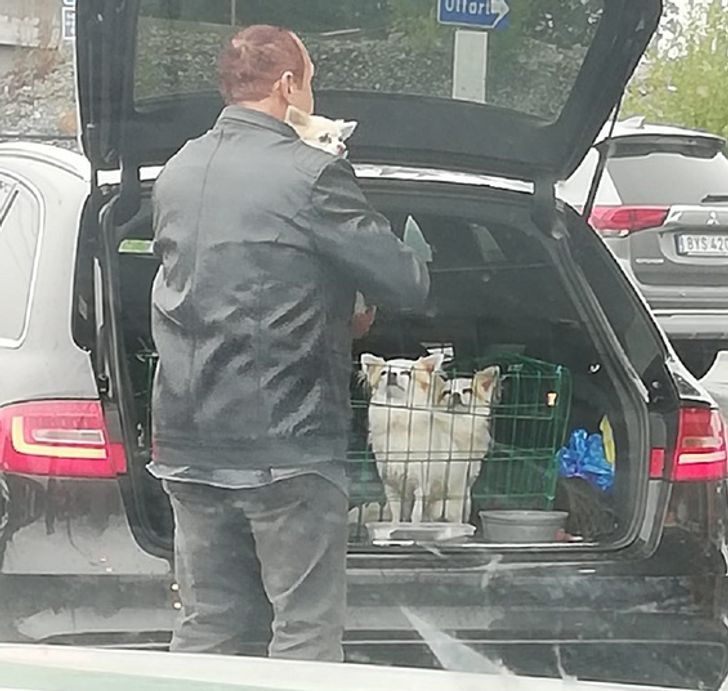 Illustration de l'article : Ces 18 photos qui montrent à quel point il est important d'être généreux et d'aider les gens