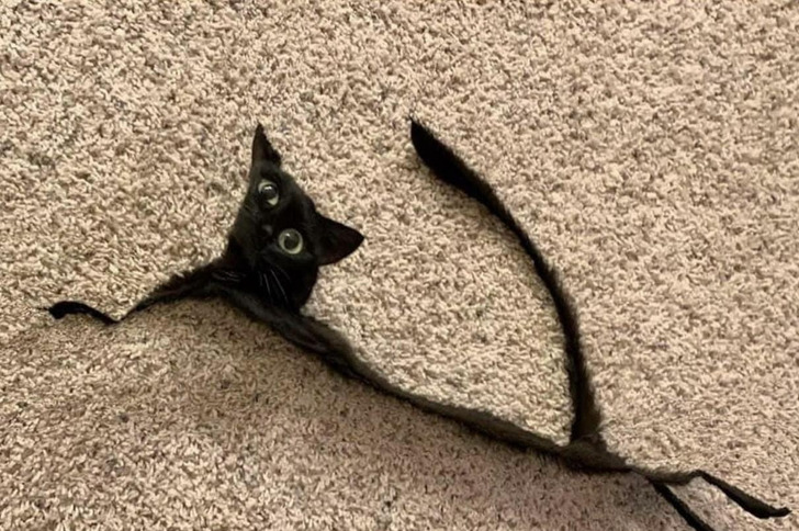 Illustration de l'article : Ces 18 photos qui illustrent la malchance des consommateurs