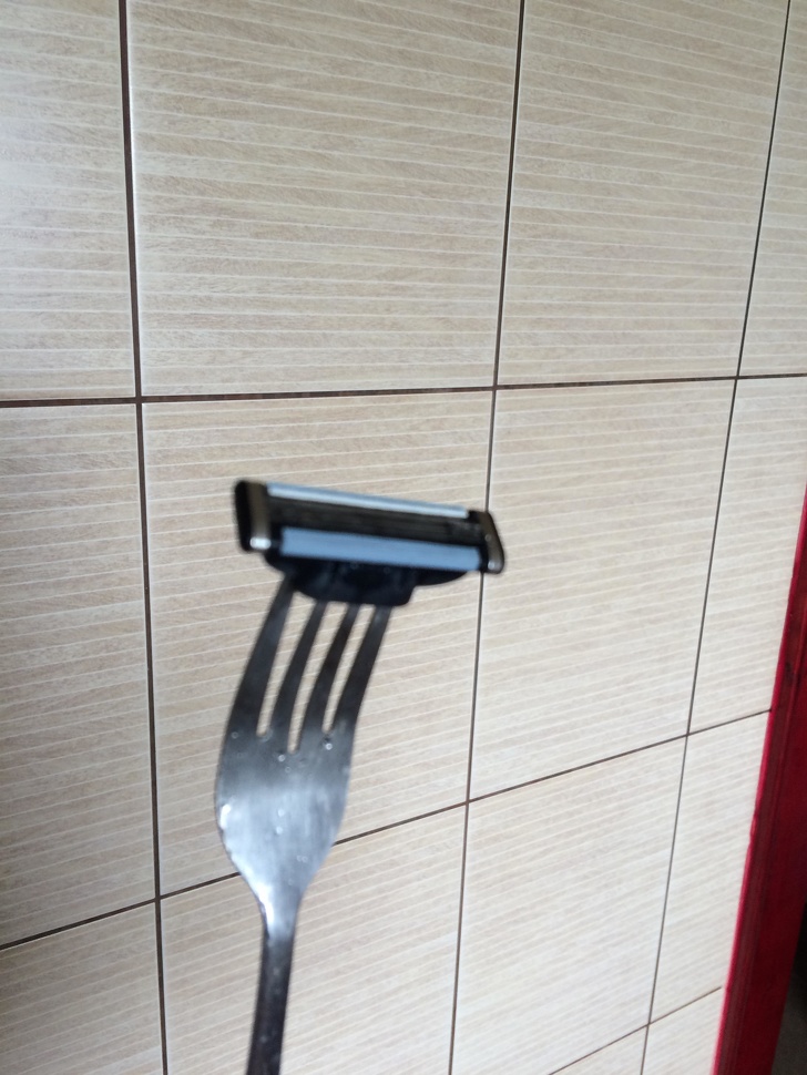 Illustration de l'article : Ces 22 photos qui associent g&eacute;nie et folie