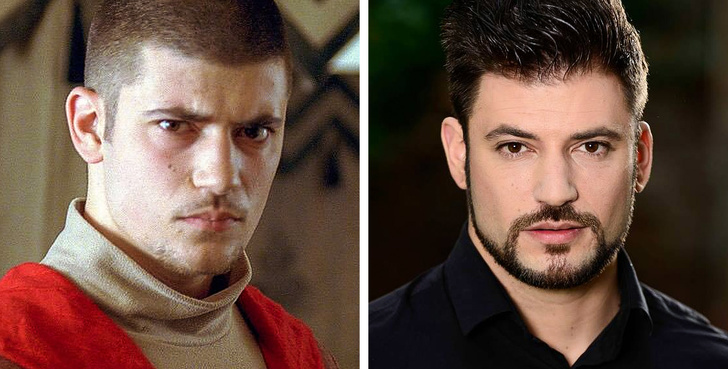 Illustration de l'article : Ces 12 acteurs transformés par la saga Harry Potter