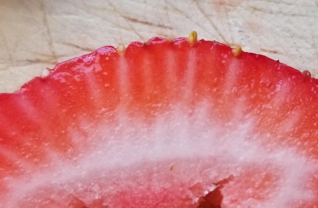 Illustration de l'article : 25 choses insolites illustrées par des photos