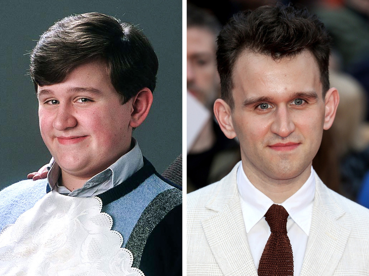 Illustration de l'article : Ces 12 acteurs transformés par la saga Harry Potter