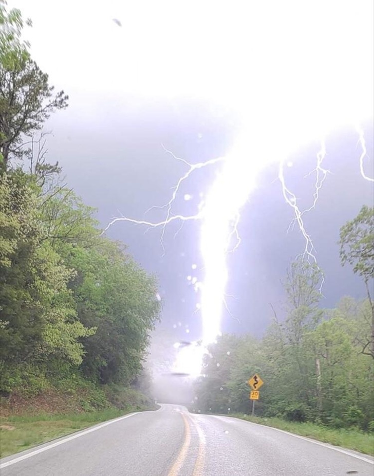 Illustration de l'article : Ces 29 photos curieuses qui révèlent le monde dans lequel nous vivons