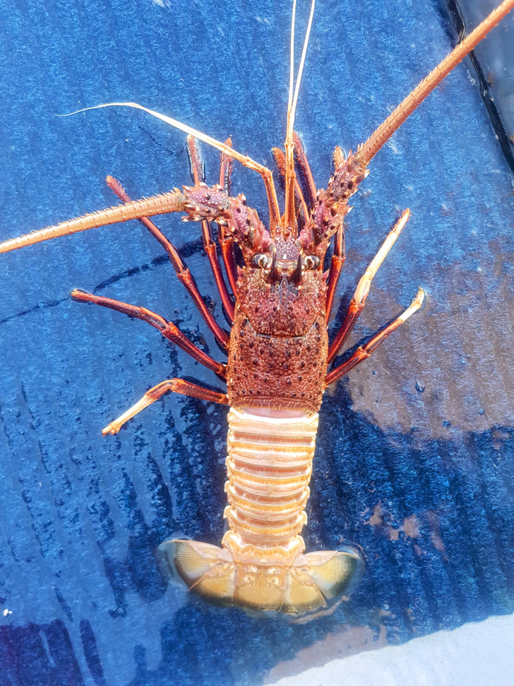 Illustration de l'article : Ces 20 photos qui illustrent des découvertes inattendues