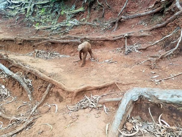 Illustration de l'article : Ces 19 photos qui font buguer le cerveau et réfléchir