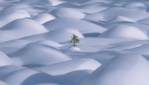 Illustration de l'article : 29 clichés réalisés par des génies de la photographie