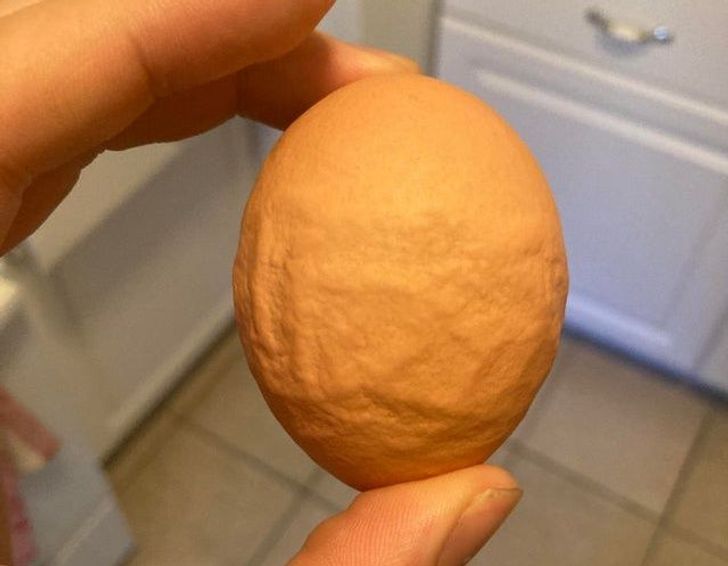 Illustration de l'article : Ces 19 situations où la vie a bien fait les choses