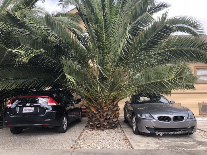 Illustration de l'article : Ces 26 curiosités qui montrent la diversité de notre monde