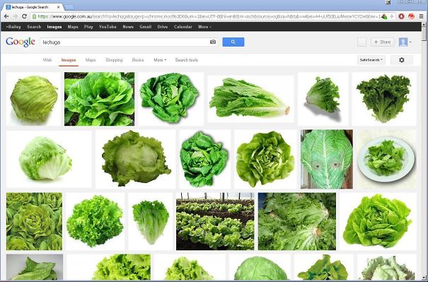Illustration de l'article : Qui a vraiment le niveau pour trouver l'intrus sur ces 100 photos ? 