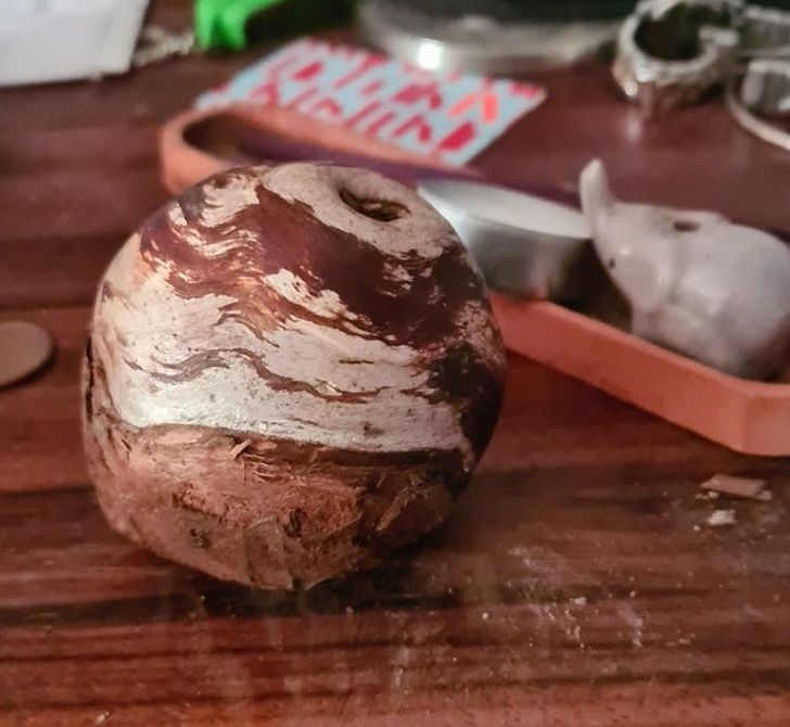 Illustration de l'article : Ces 19 personnes qui ont fait de belles découvertes