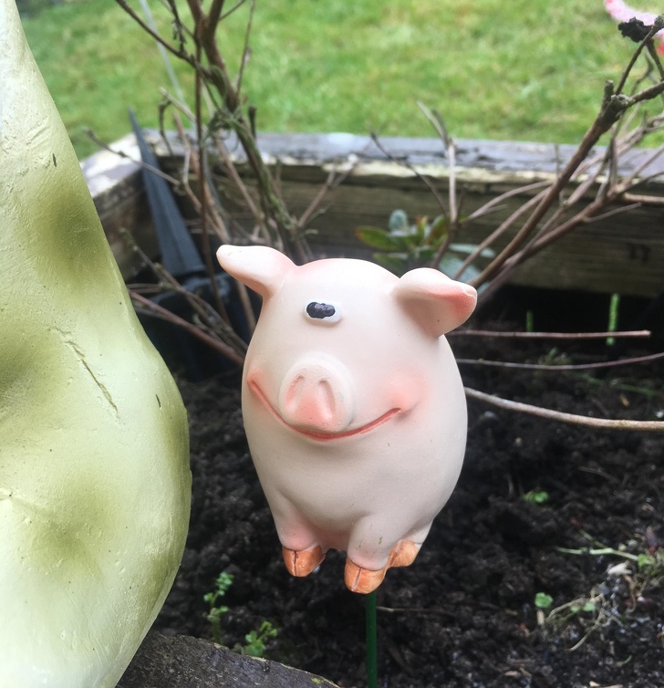 Illustration de l'article : Ces 19 grands-parents qui ont plus d'un tour dans leur sac