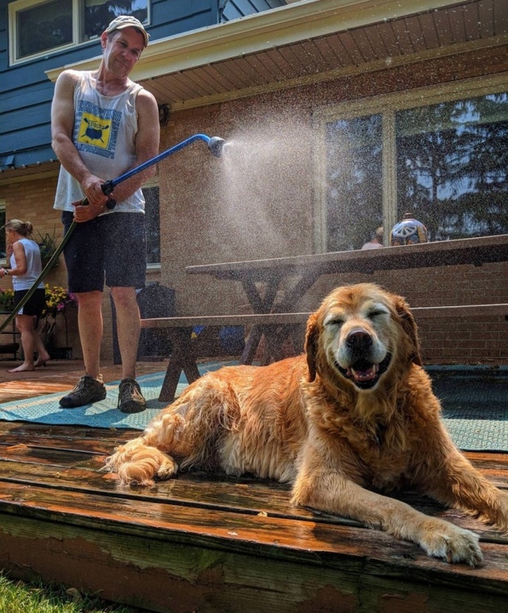 Illustration de l'article : Ces 21 photos qui montrent que l'été peut parfois être difficile à vivre