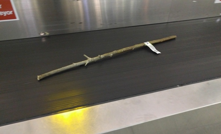 Illustration de l'article : Ces 24 situations curieuses rencontrées dans un aéroport