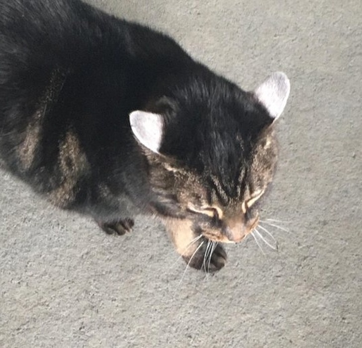 Illustration de l'article : Ces 19 exceptions qui ont marqué les auteurs de ces photos