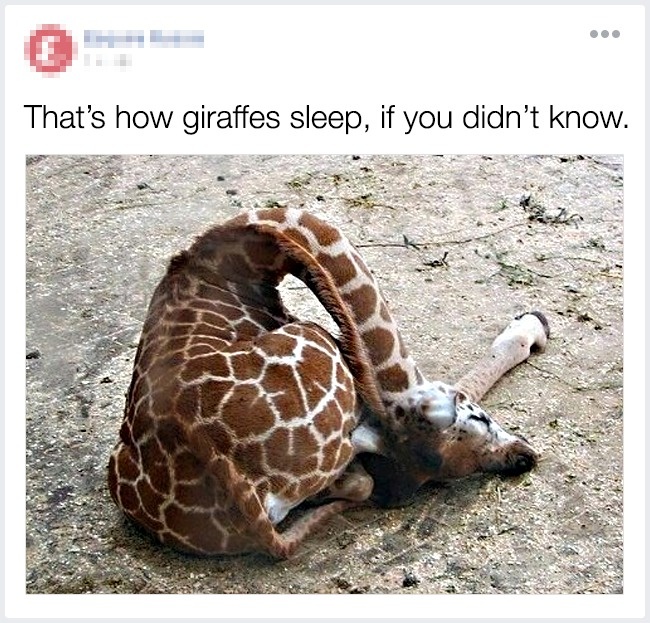 Illustration de l'article : 14 détails de la vie de tous les jours qui ont failli nous échapper