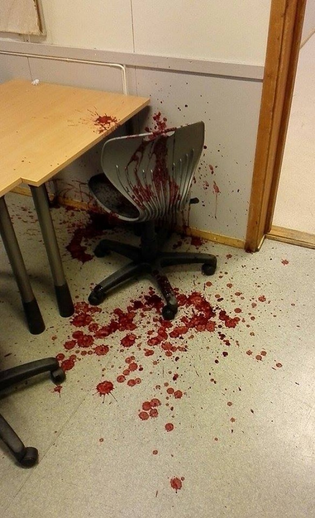 Illustration de l'article : 26 photos d'énigmes naturelles totalement surprenantes