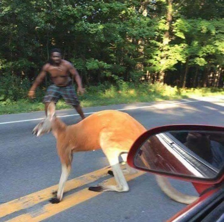 Illustration de l'article : Ces 19 moments assez fous dans le monde