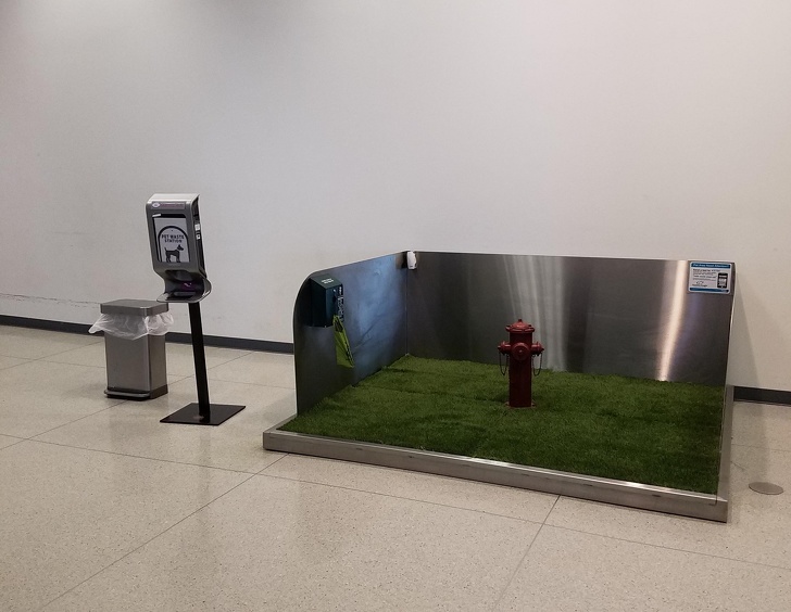 Illustration de l'article : Ces 20 nouvelles inventions pratiques et bien pensées