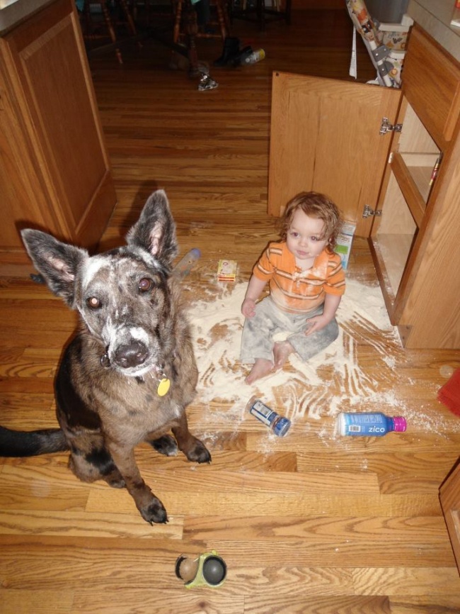 Illustration de l'article : Ces 20 photos dévoilent la complicité entre les enfants et leur animal de compagnie