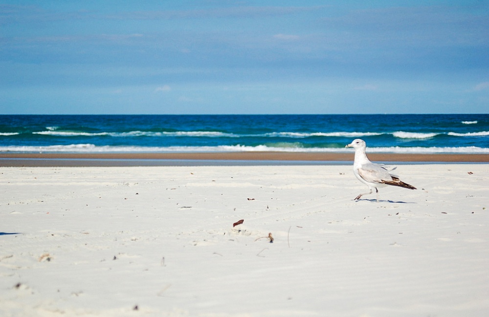 Illustration de l'article : 10 plages de rêve à éviter comme la peste