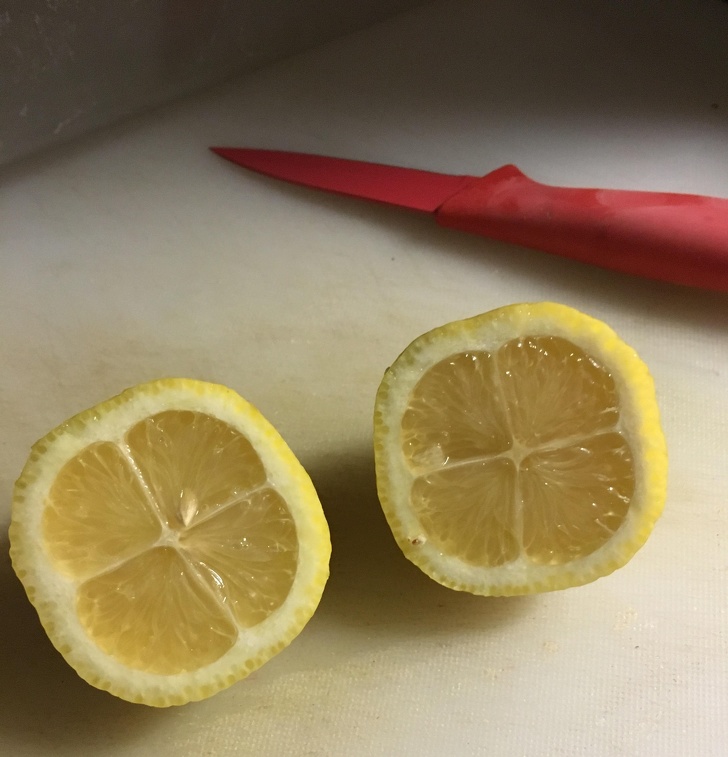 Illustration de l'article : Ces 16 photos qui montrent que notre monde est fascinant