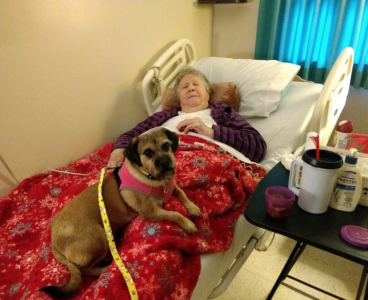 Illustration de l'article : Ces 15 photos qui racontent une histoire sensible