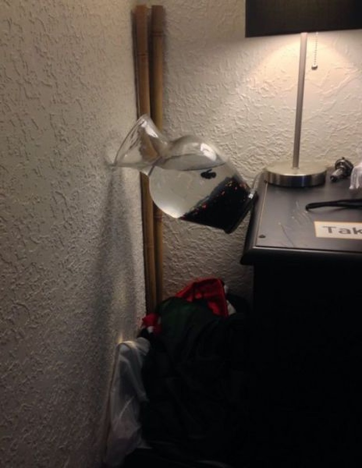 Illustration de l'article : Ces 14 personnes nées sous une bonne étoile