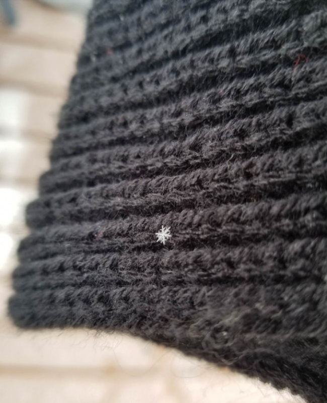 Illustration de l'article : 26 personnes qui ont démarré l’année de la meilleure des façons