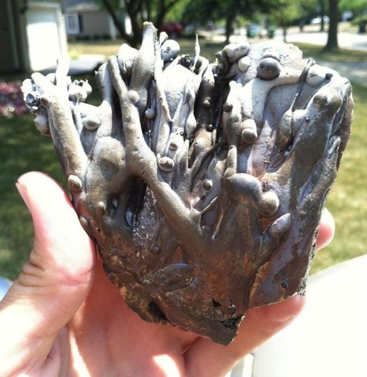 Illustration de l'article : Ces 20 situations dignes d'exp&eacute;riences scientifiques