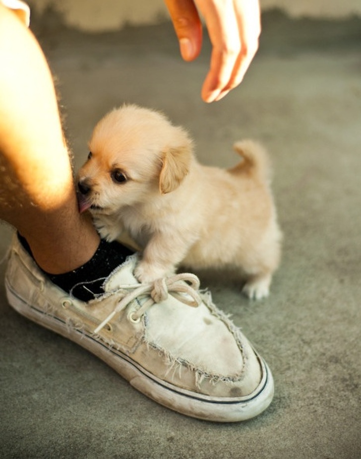 Illustration de l'article : Ces 19 photos qui transmettent la joie de vivre