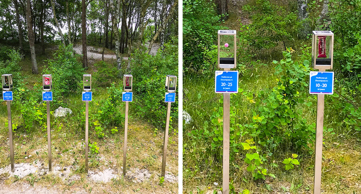 Illustration de l'article : Ces 24 conceptions qui permettent de mieux préserver la planète