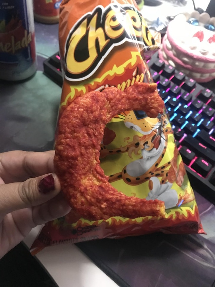 Illustration de l'article : Ces 19 photos de gens légèrement à côté de la plaque