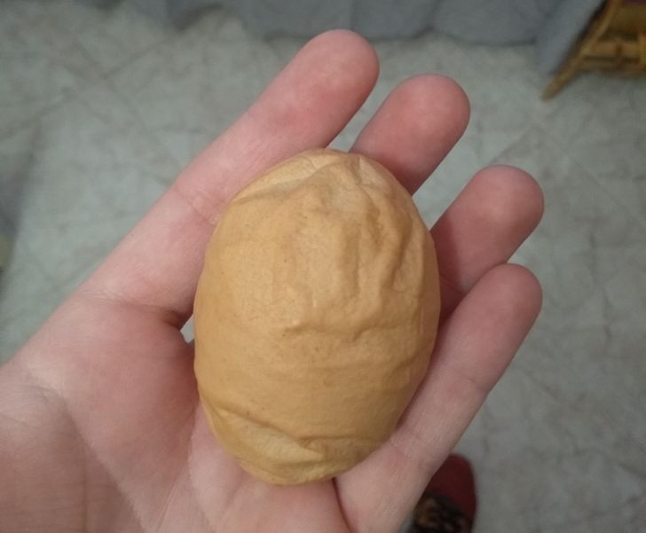 Illustration de l'article : Ces 20 photos qui montrent que la nature a de l'humour 