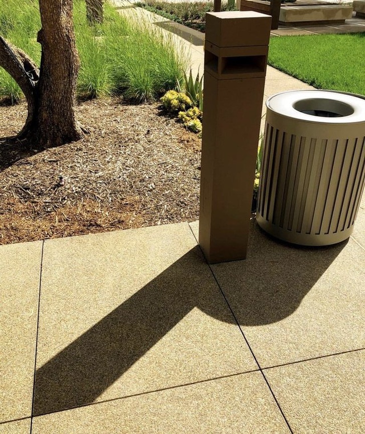 Illustration de l'article : Ces 26 photos qui épousent la perfection