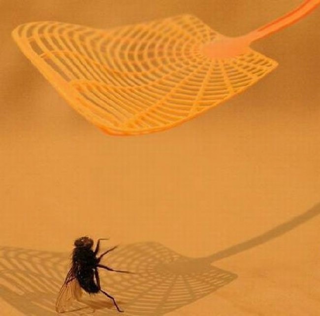 Illustration de l'article : 30 photographies non retouch&eacute;es prises quelques secondes avant une chute in&eacute;vitable