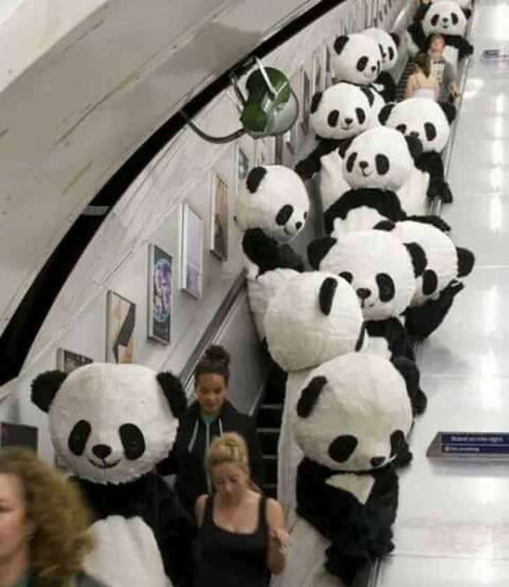 Illustration de l'article : Ces 27 photos de situations bizarres et sans explication