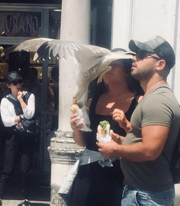 Illustration de l'article : Ces 23 photos prises pendant des situations loufoques