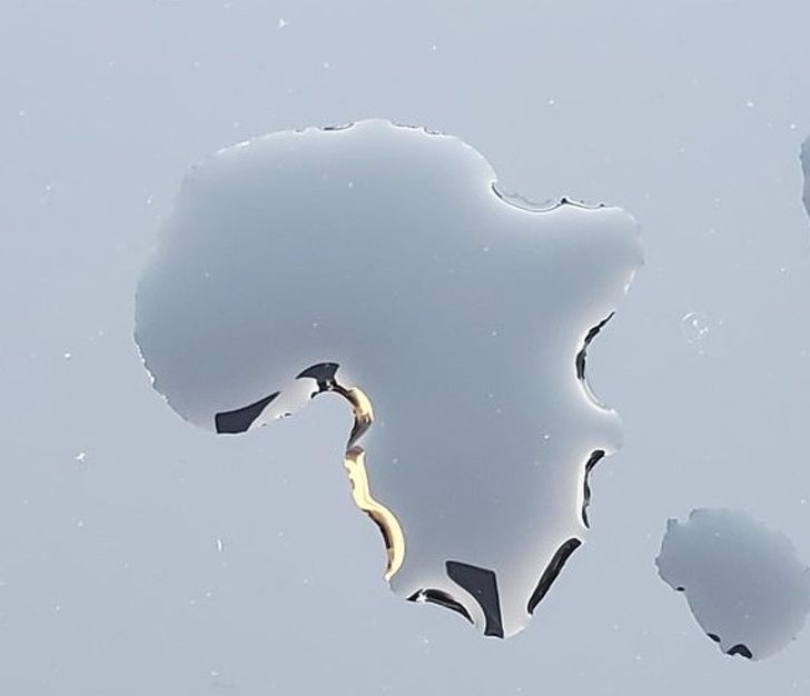 Illustration de l'article : Ces 20 photos qui montrent que la nature est bien faite