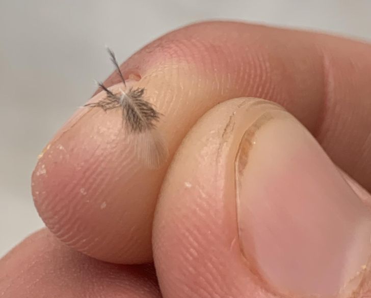 Illustration de l'article : Ces 20 personnes qui ont fait de bonnes trouvailles