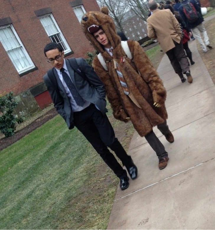 Illustration de l'article : Ces 21 photos montrent le respect de la loi, mais pas de la règle