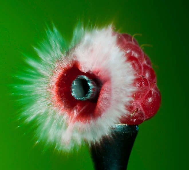 Illustration de l'article : 12 photos d’objets du quotidien transpercés par une balle