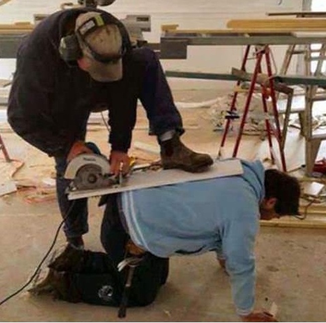 Illustration de l'article : Certains choix sont plus intelligents que d'autres, la preuve en 28 photos