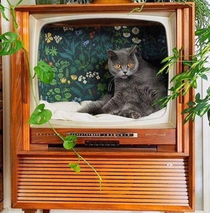 Illustration de l'article : Ces 19 personnes qui ont rendu leur maison plus pratique sans dépenser un seul centime