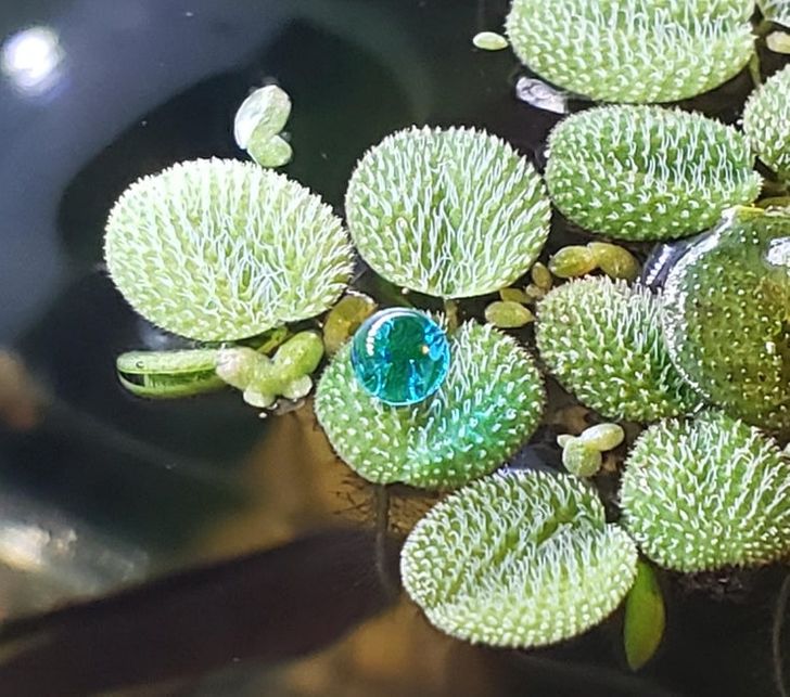 Illustration de l'article : Ces 19 photos qui illustrent des oeuvres d'art impr&eacute;vues