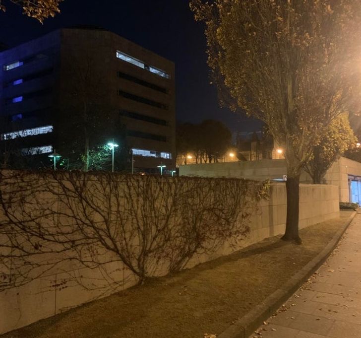 Illustration de l'article : Ces 19 photos qui illustrent des oeuvres d'art impr&eacute;vues